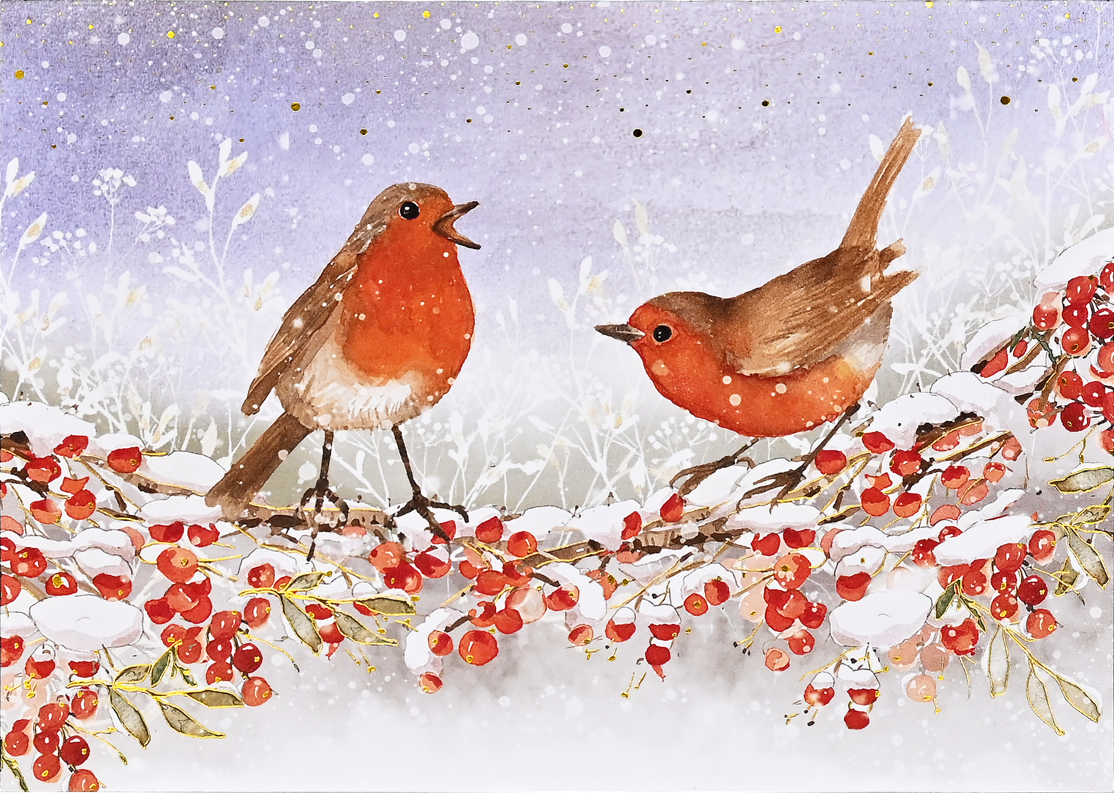 English Robins in Winter Deluxe Boxed Holiday Cards – Peter Pauper