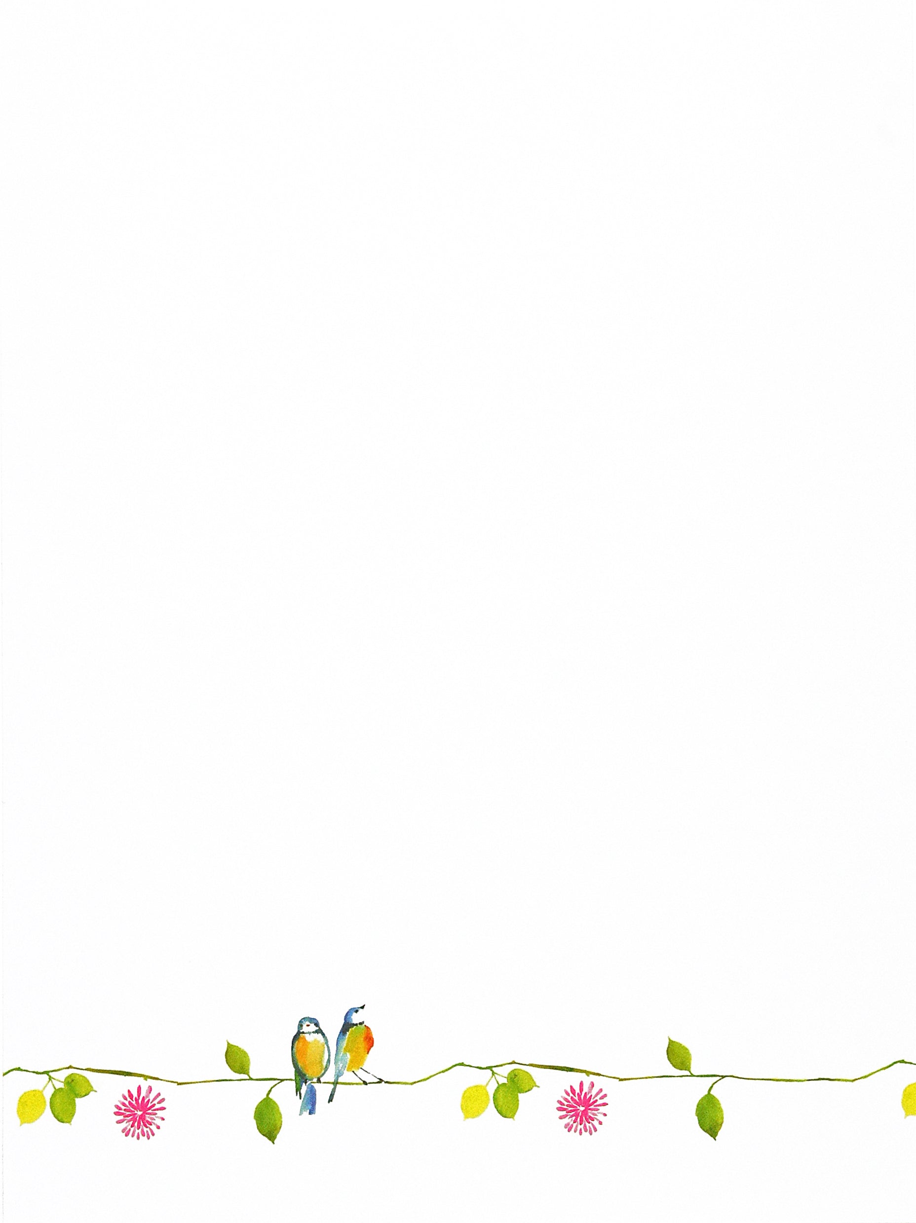 Watercolor Birds Stationery Set Peter Pauper Press