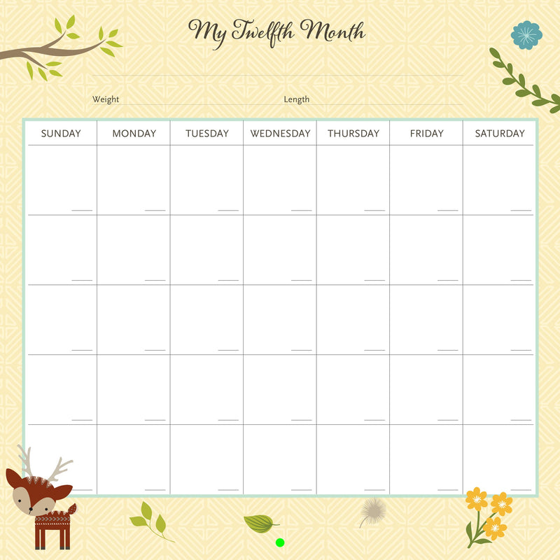 My Life as a Baby: A First-Year Calendar (Woodland Friends)