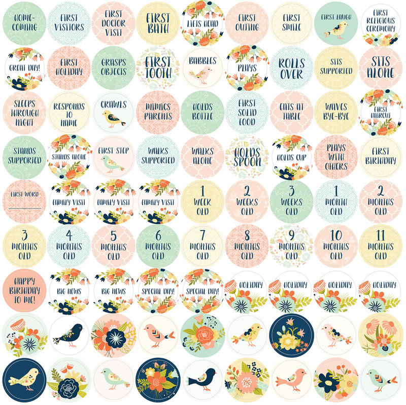 My Life as a Baby: A First-Year Calendar (Birds)