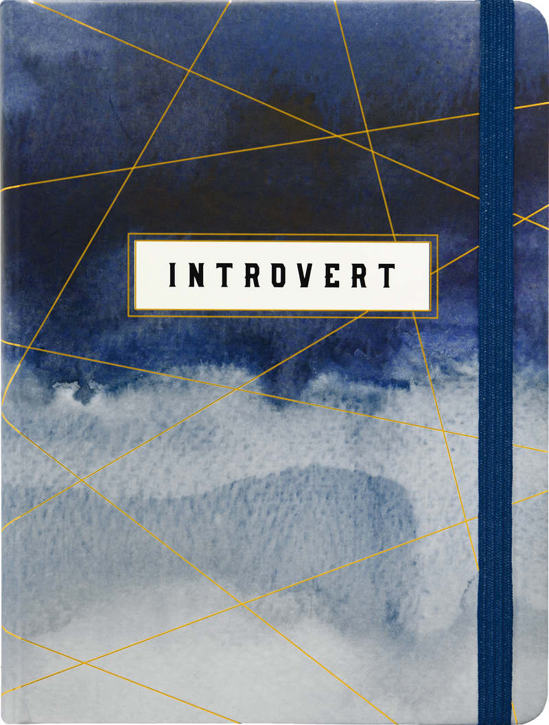 The Introvert&