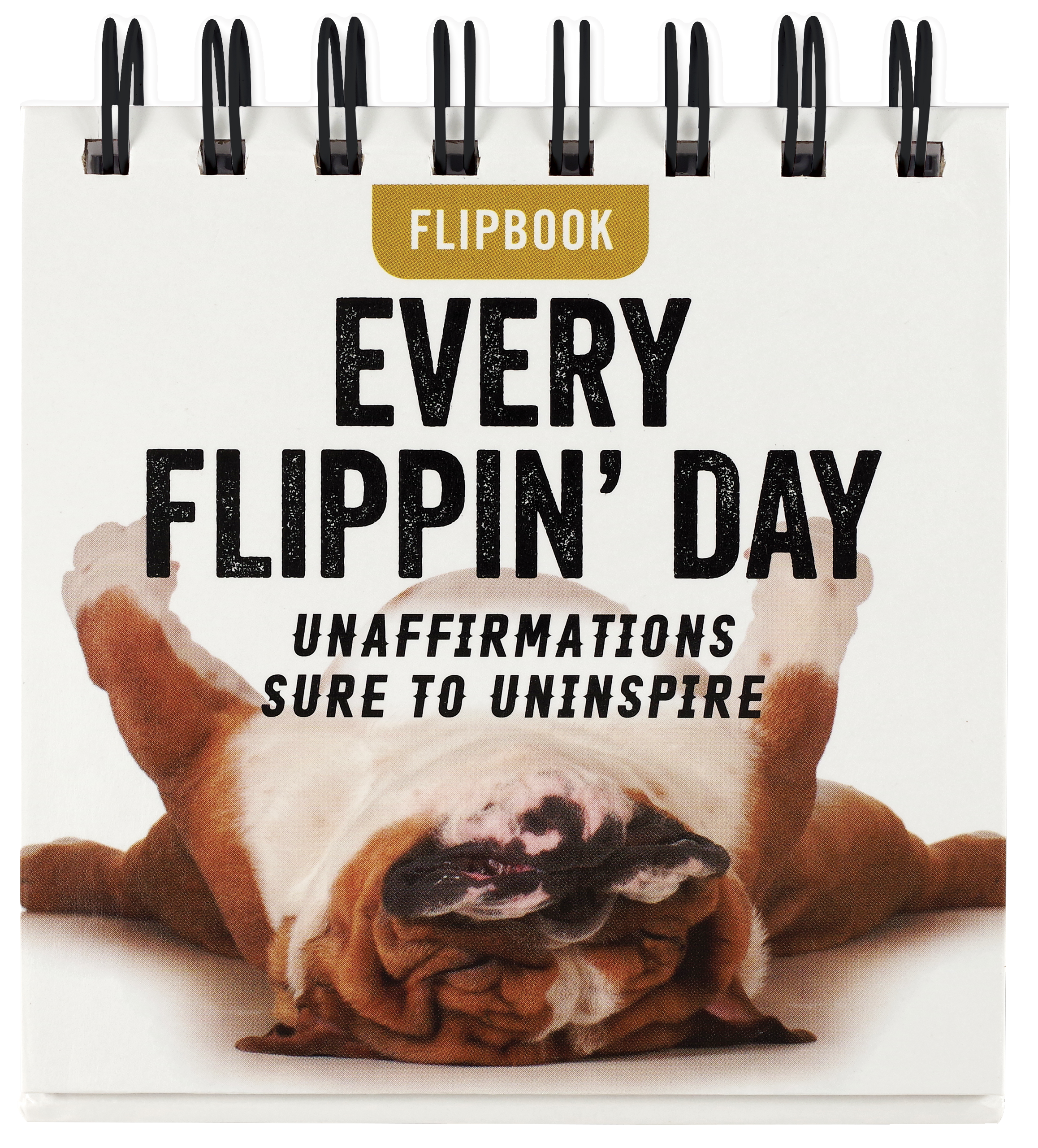Every Flippin' Day Desktop Flipbook – Peter Pauper Press