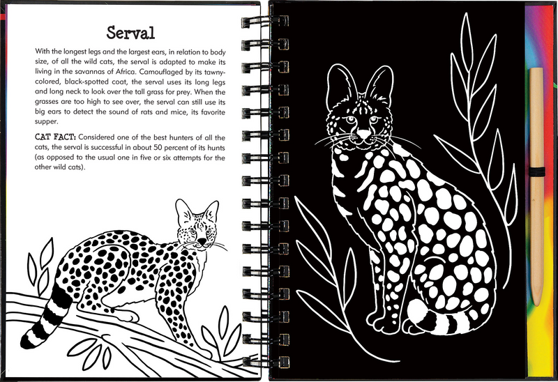 Scratch &amp; Sketch Wild Cats