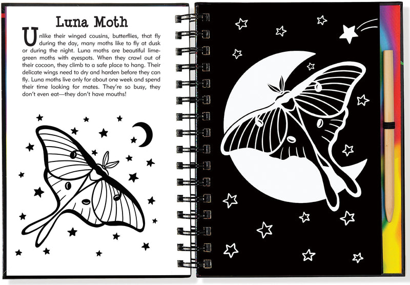 Scratch &amp; Sketch Butterflies &amp; Friends