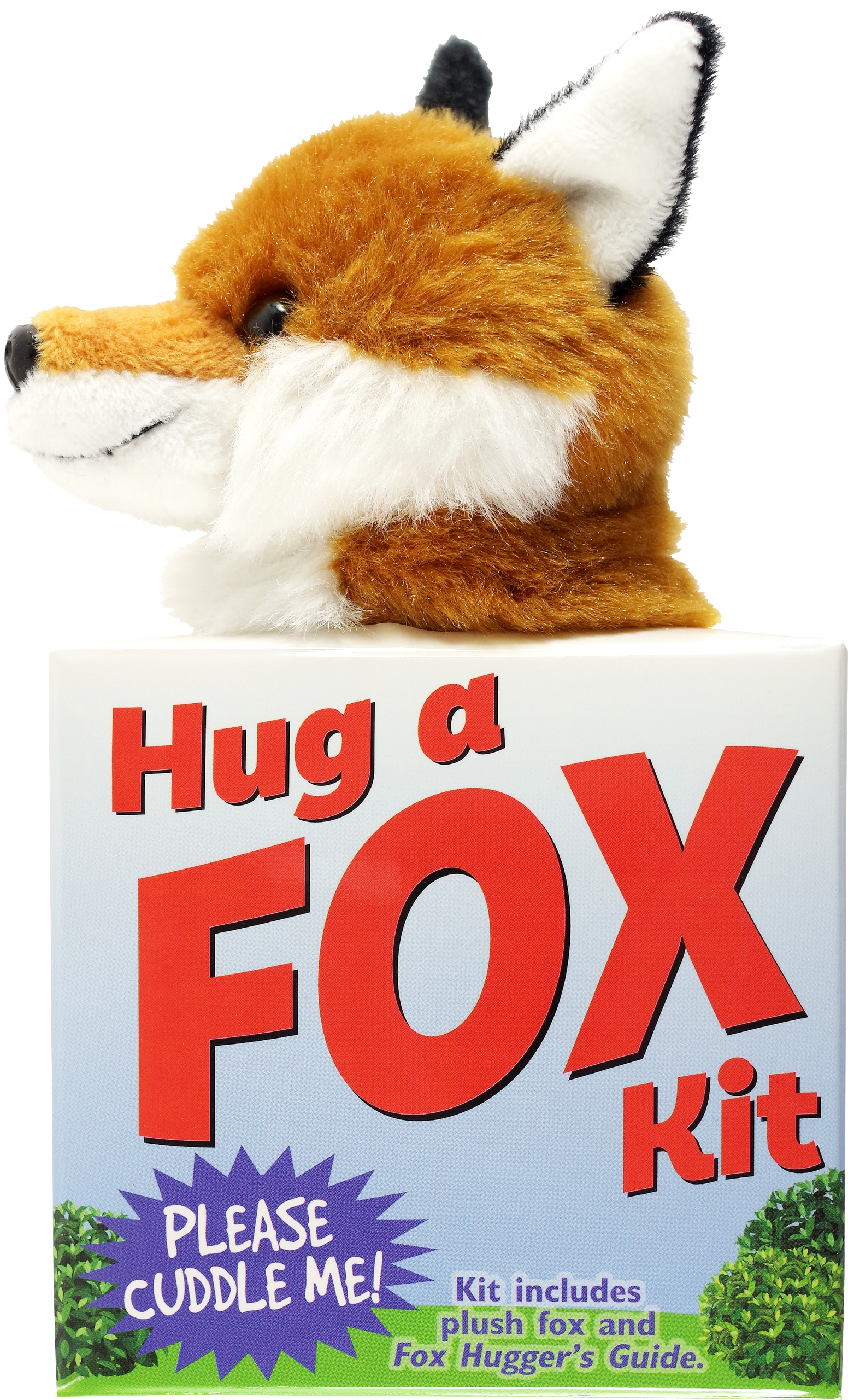 Hug a Fox Kit – Peter Pauper Press