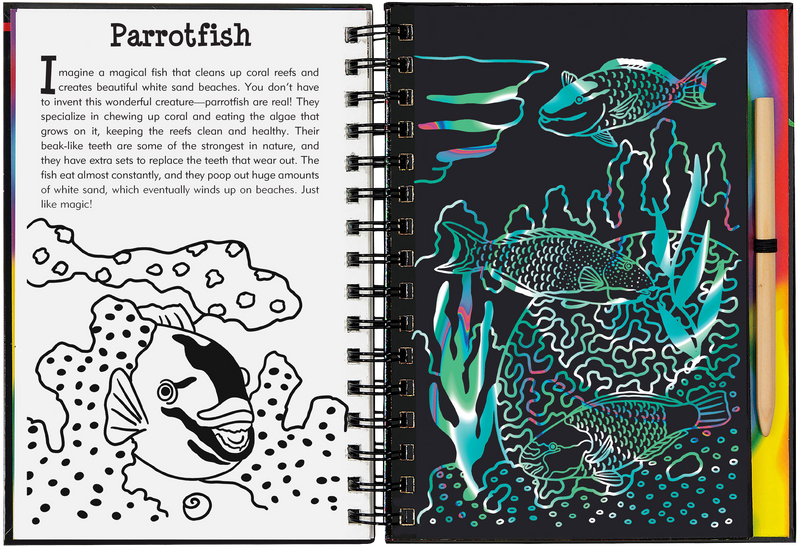 Coral Reefs Scratch and Sketch