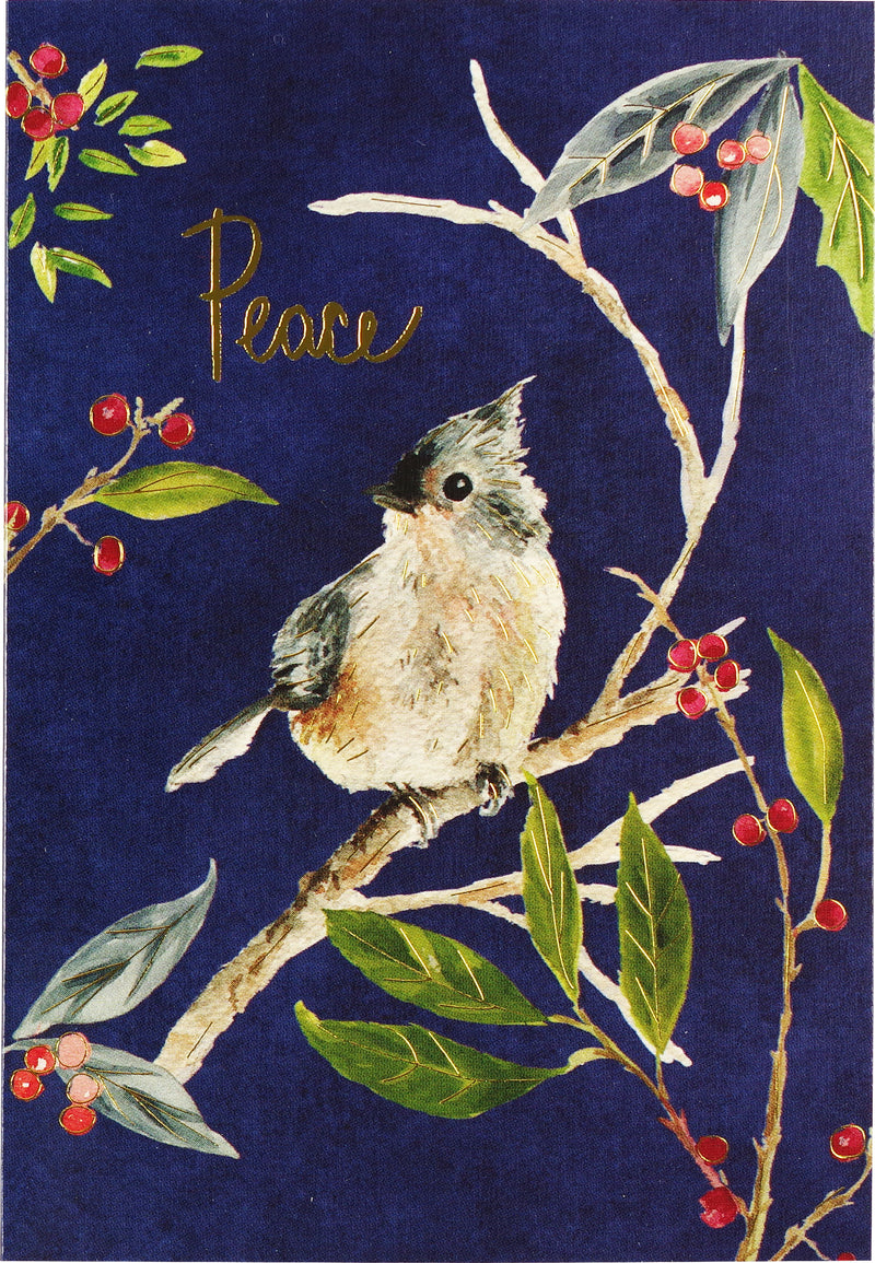 Evening Songbird Small Boxed Holiday Cards