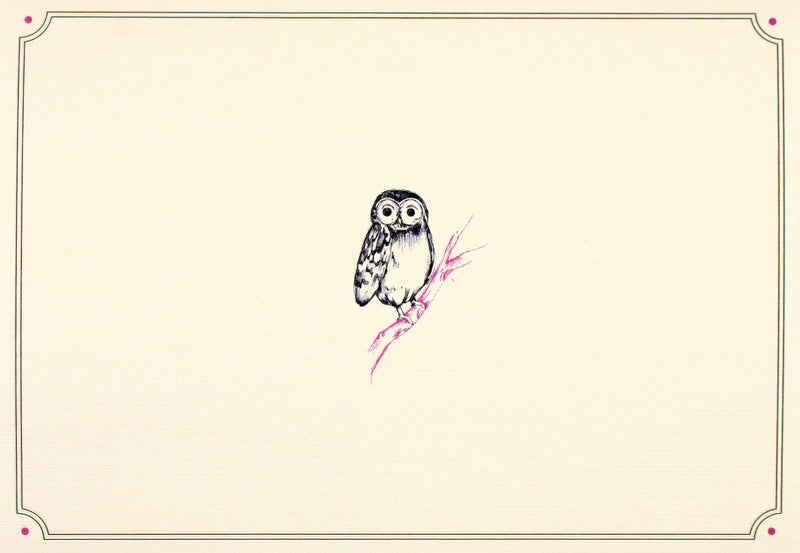 Owl Portrait Note Cards