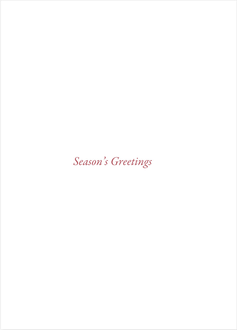 Winter Trees Deluxe Boxed Holiday Cards