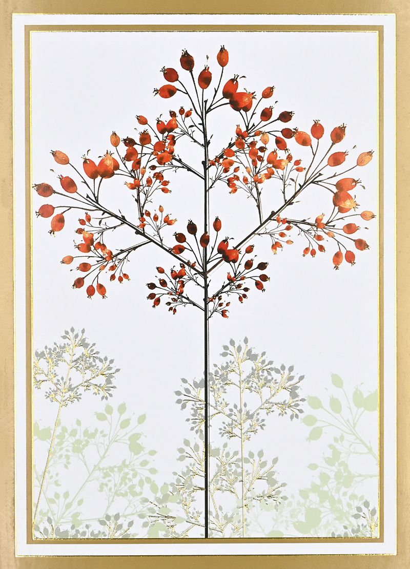 Winter Trees Deluxe Boxed Holiday Cards