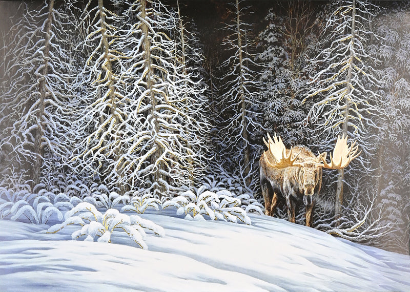 Moose in Moonlight Deluxe Boxed Holiday Cards