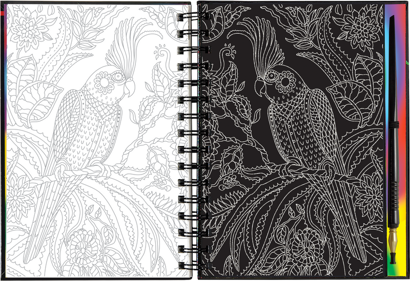 Extreme! The World of Birds Scratch and Sketch