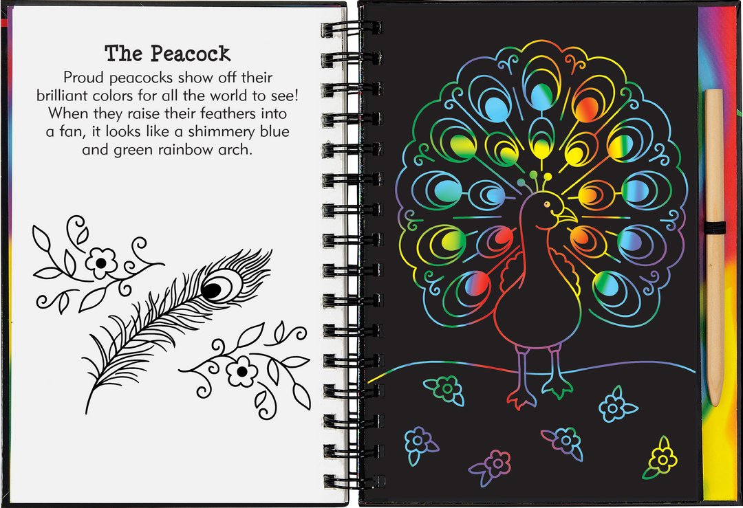 Rainbow Magic Scratch and Sketch – Peter Pauper Press