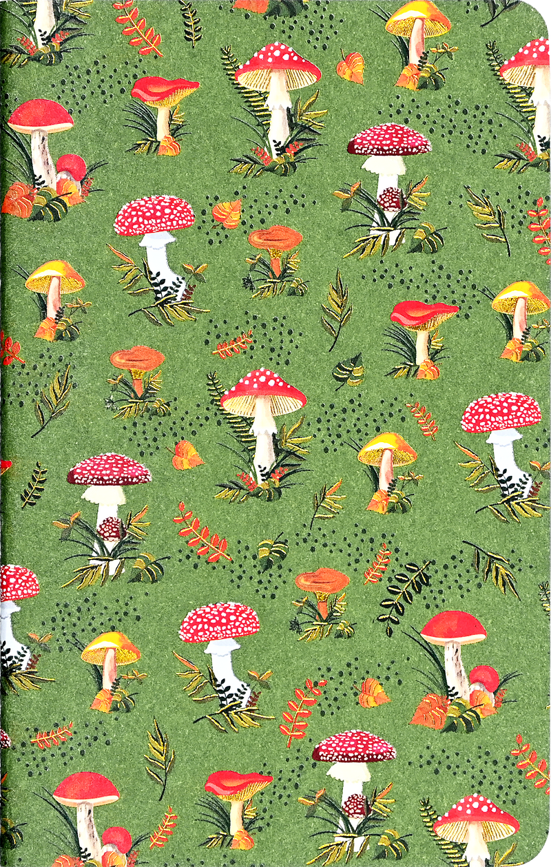 Jotter Mini Notebook Sets: Mushrooms
