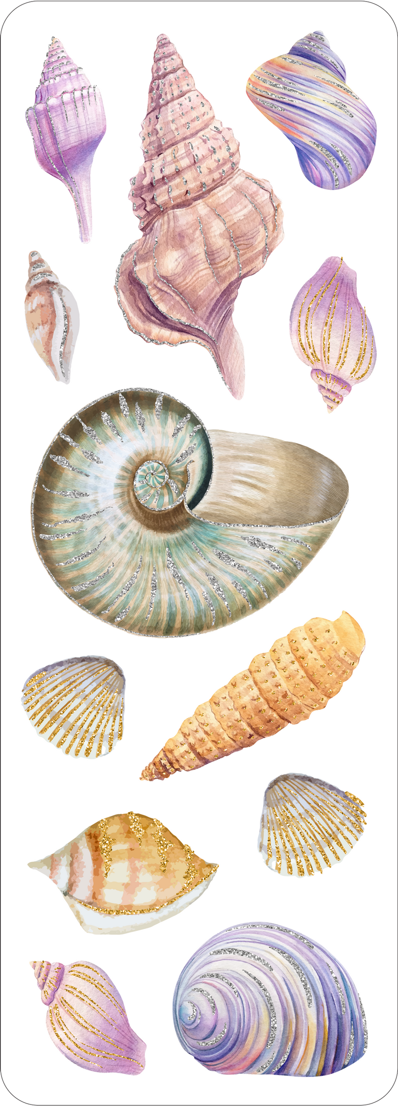 Seashells Sticker Set – Peter Pauper Press