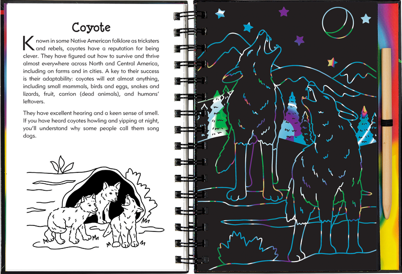 Nocturnal Animals Scratch and Sketch