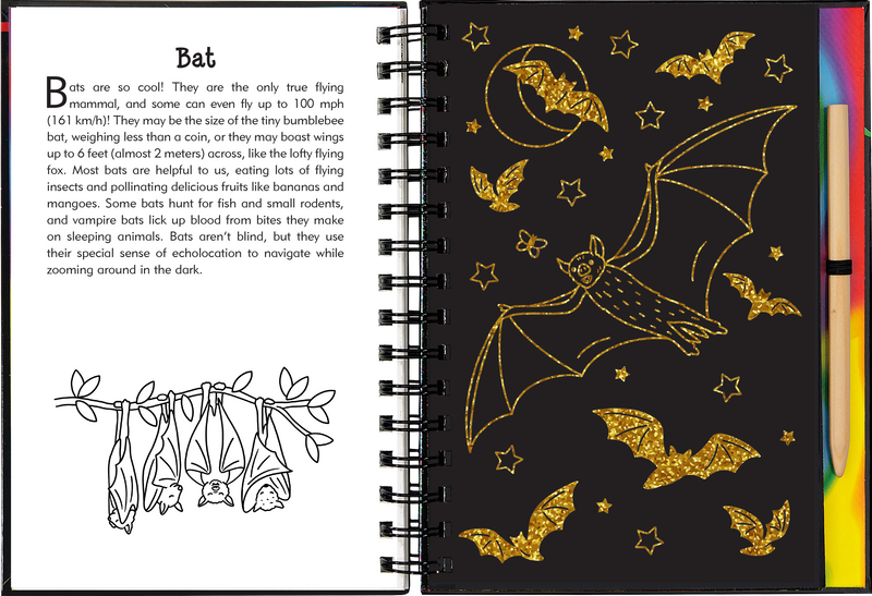Nocturnal Animals Scratch and Sketch