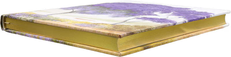Midsummer Day Journal