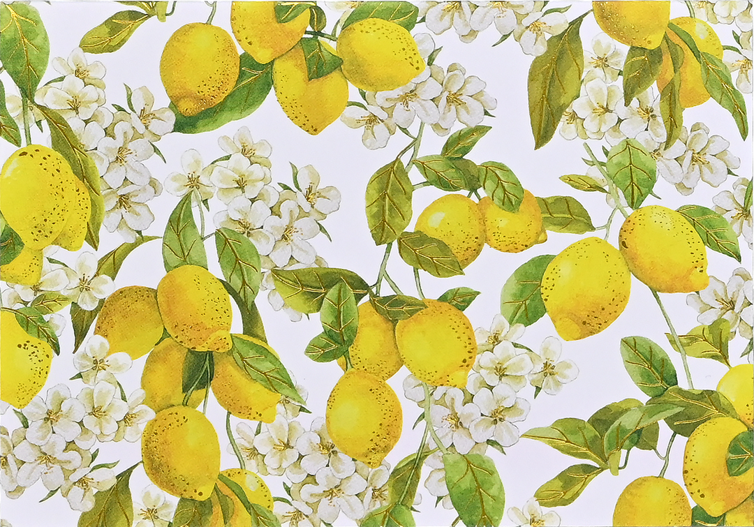 Amalfi Lemons Note Cards – Peter Pauper Press