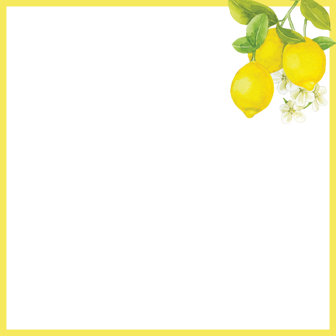 Amalfi Lemons Desk Notes – Peter Pauper Press