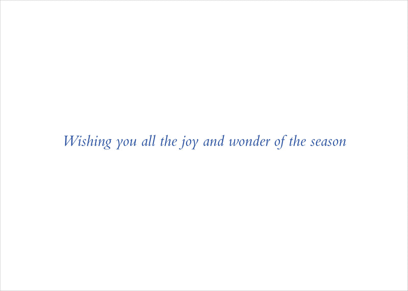 Festive Horse Deluxe Boxed Holiday Cards