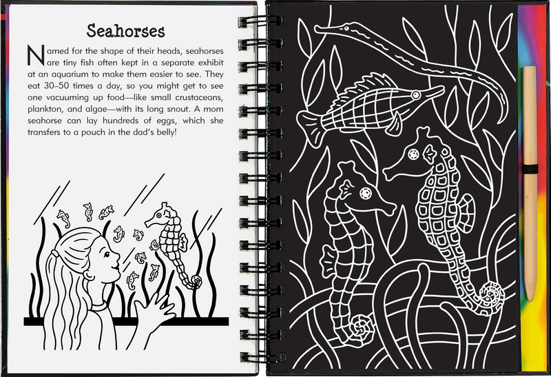 Scratch & Sketch At the Aquarium