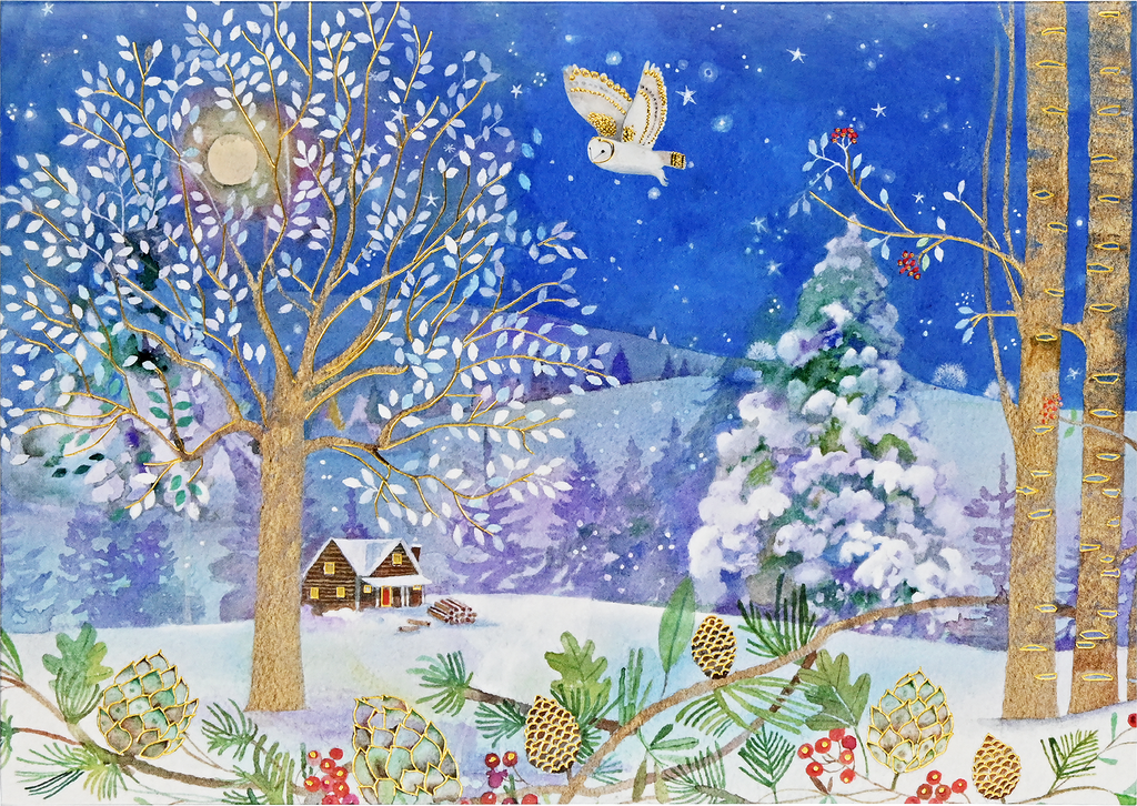 Winter Starlight Deluxe Boxed Holiday Cards – Peter Pauper Press