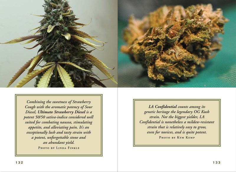 The Little Black Book of Marijuana