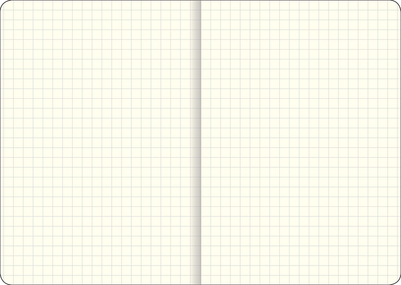Essentials Grid-lined Notebook, Large, A5 Size