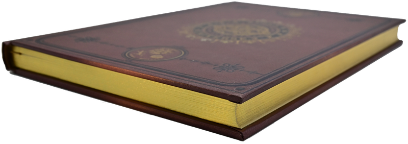The Universe Journal