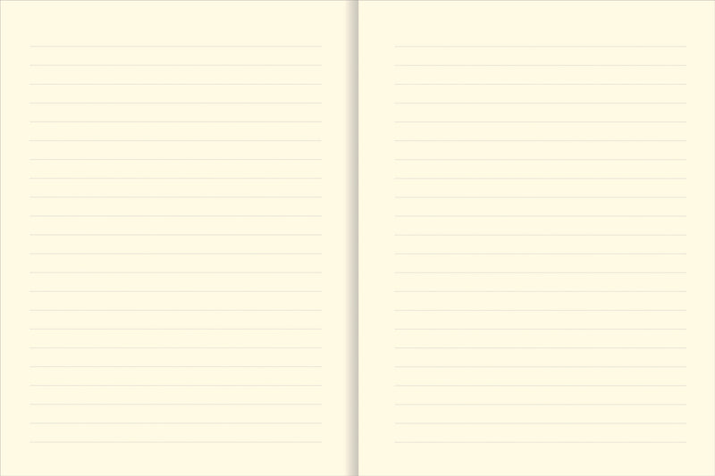 The Universe Journal