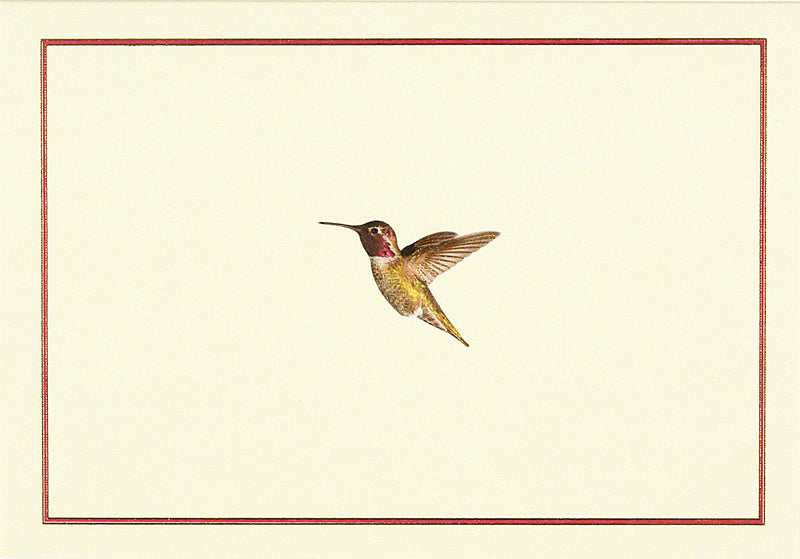 Hummingbird Flight Note Cards