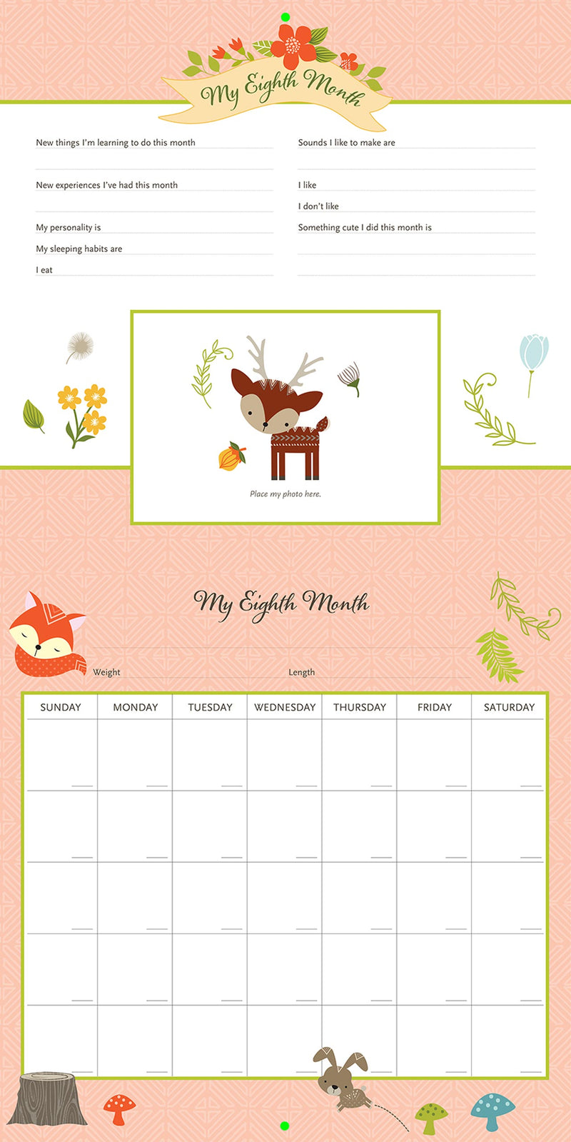 My Life as a Baby: A First-Year Calendar (Woodland Friends)