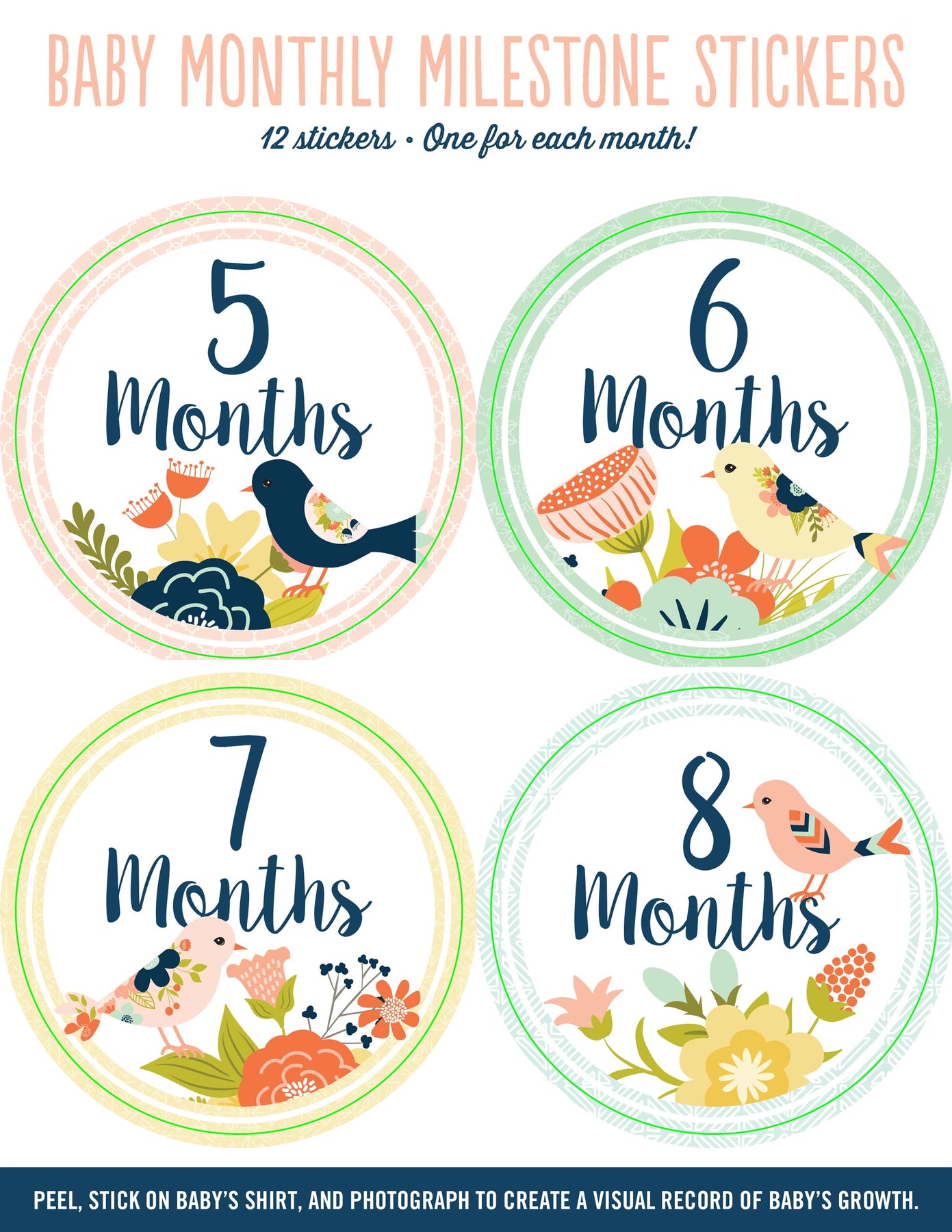 Baby's Monthly Milestone Stickers - Birds: 12 Stickers: One for Each Month!