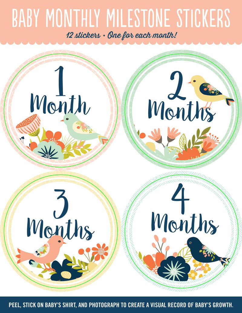 Baby Monthly Milestone Stickers - Birds
