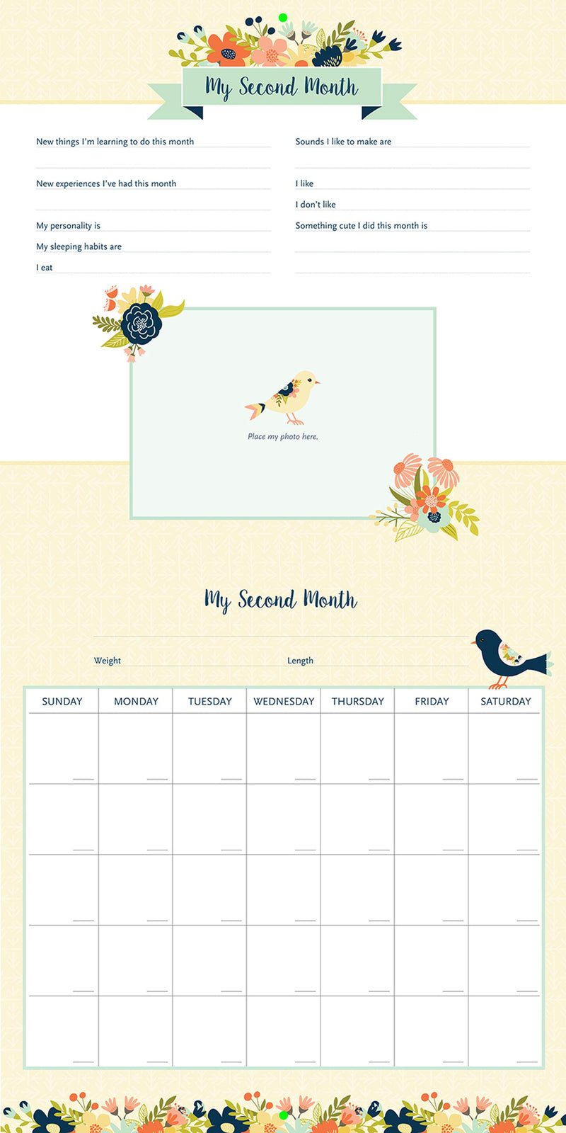 My Life as a Baby: A First-Year Calendar (Birds)