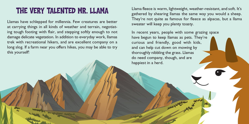 Hug a Llama Kit