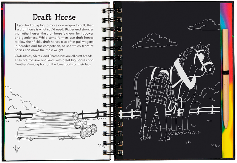 Horses Scratch and Sketch