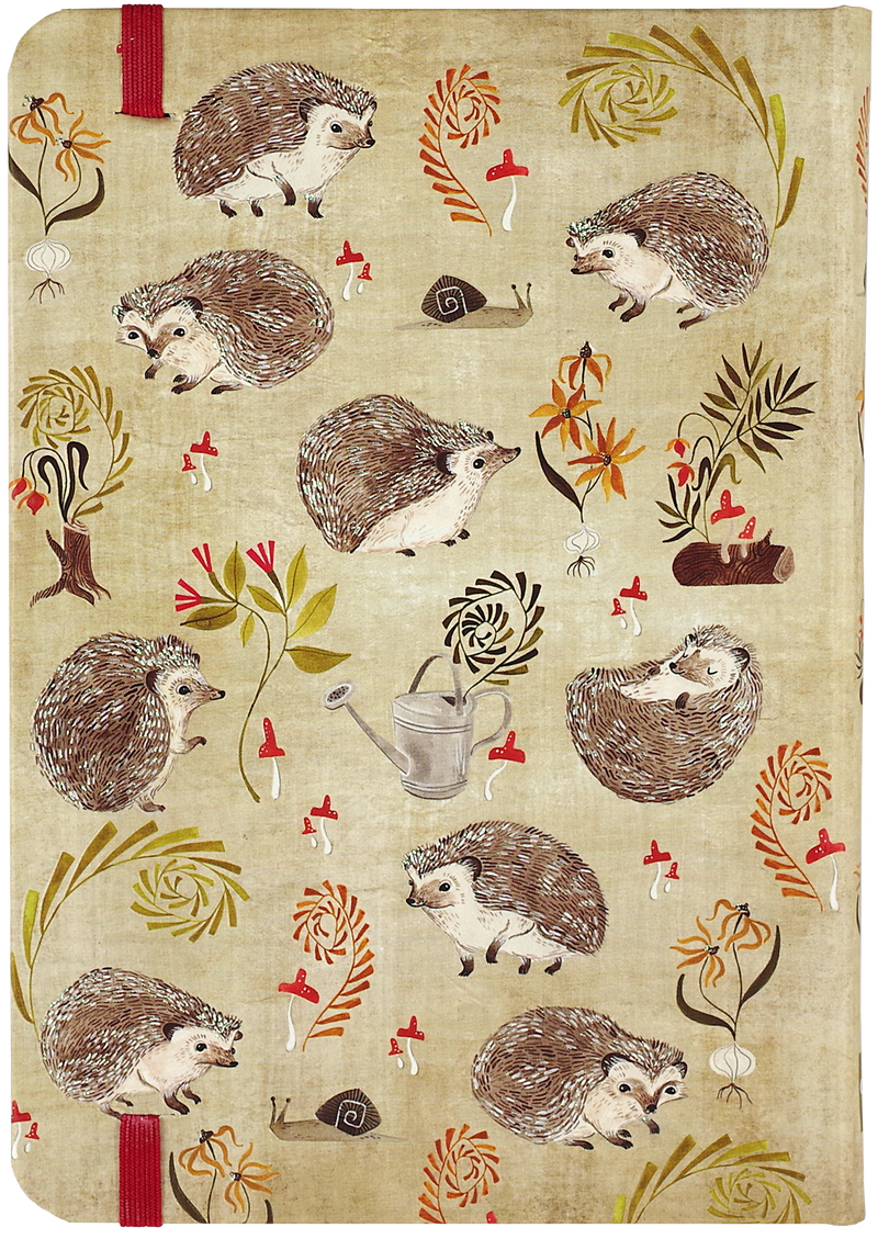 Hedgehogs Journal