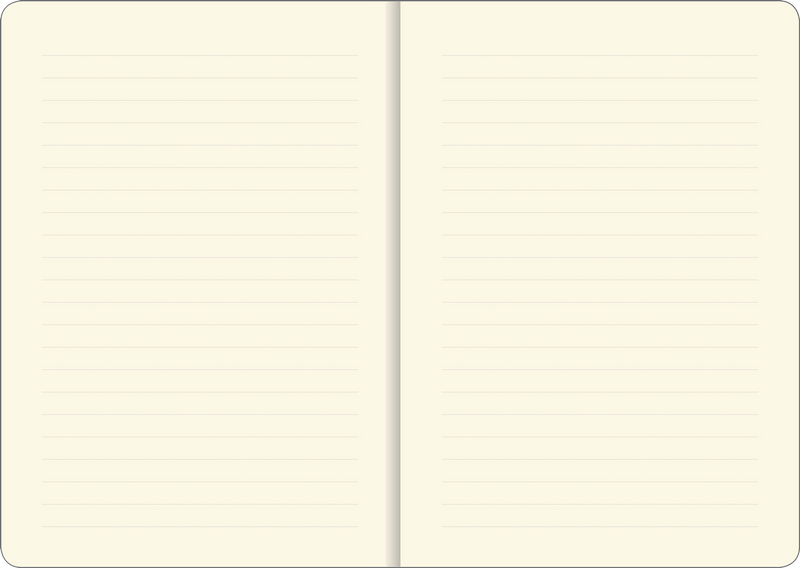 Hedgehogs Journal