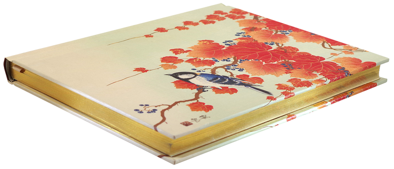 Bird and Red Ivy Journal