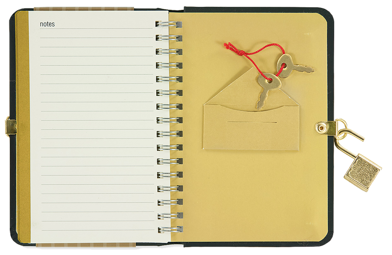 Locking Internet Address & Password Logbook