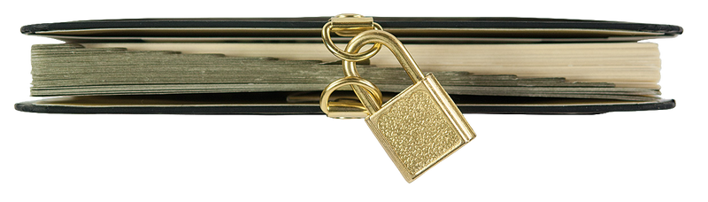 Locking Internet Address & Password Logbook