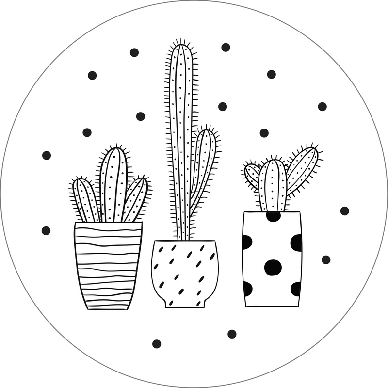 Blooms & Succulents Embroidery Pattern Transfers