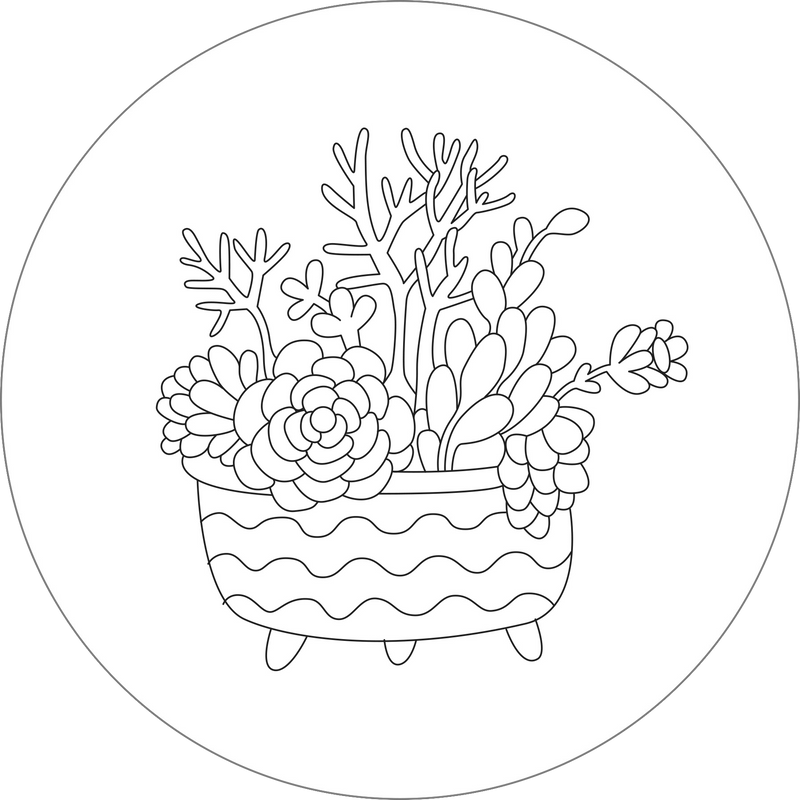 Blooms & Succulents Embroidery Pattern Transfers