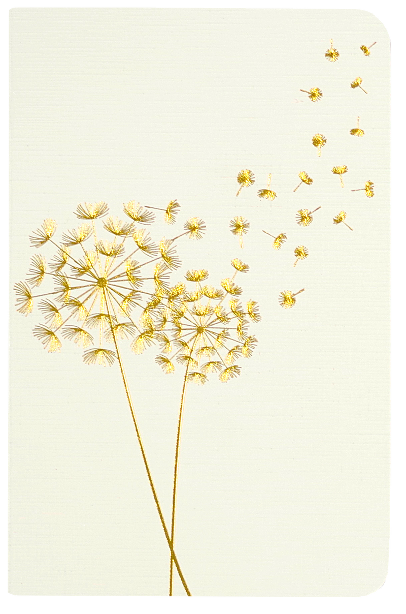 Jotter Mini Notebook Set: Dandelion Wishes