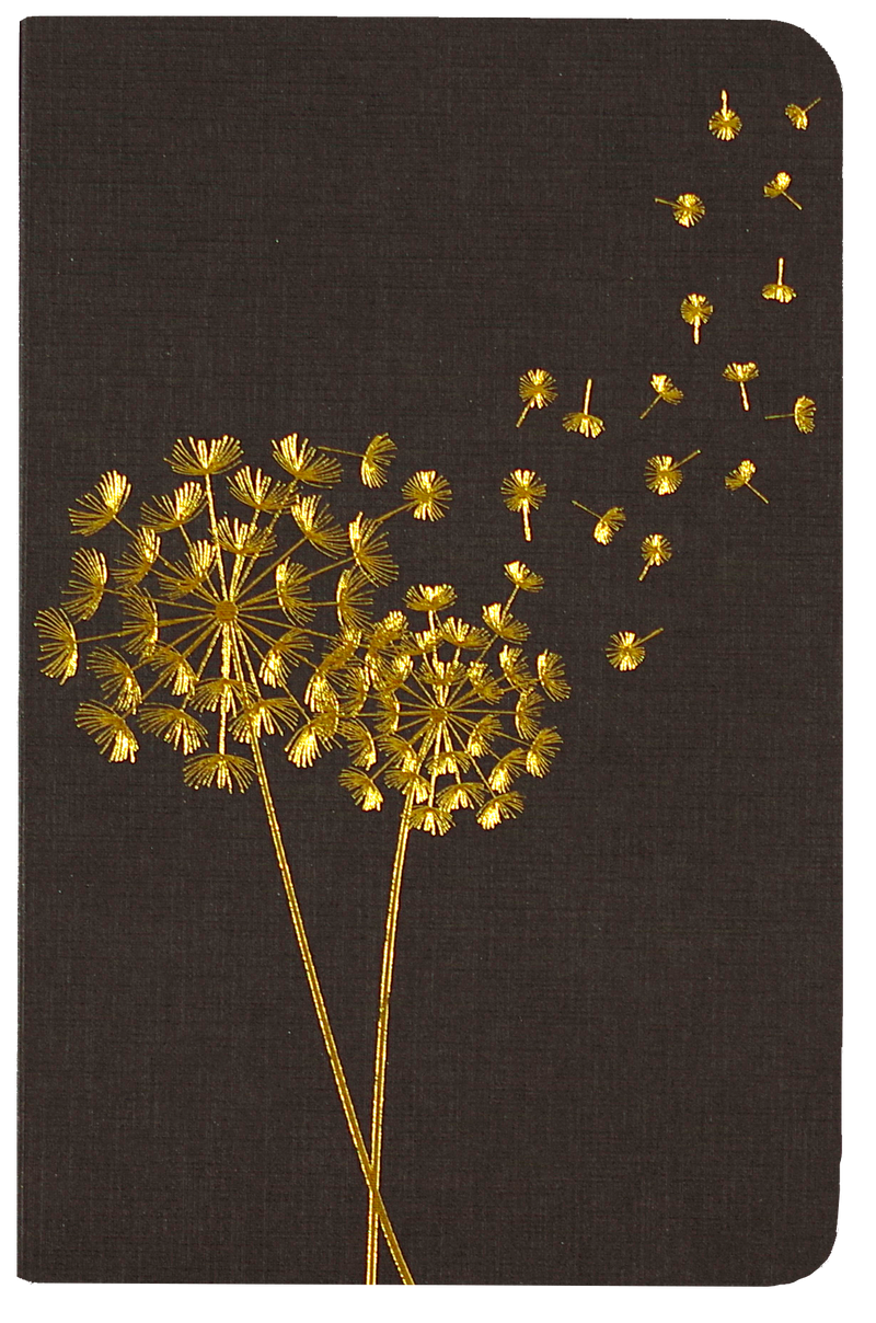 Jotter Mini Notebook Set: Dandelion Wishes