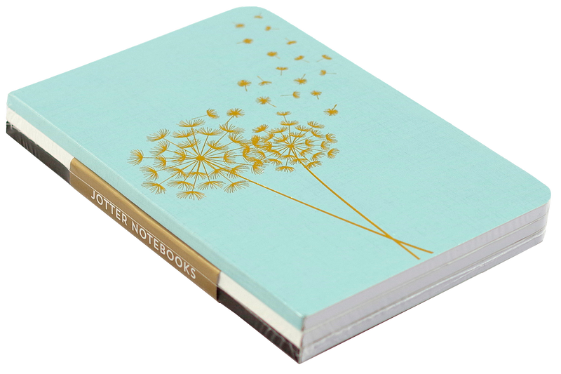 Jotter Mini Notebook Set: Dandelion Wishes