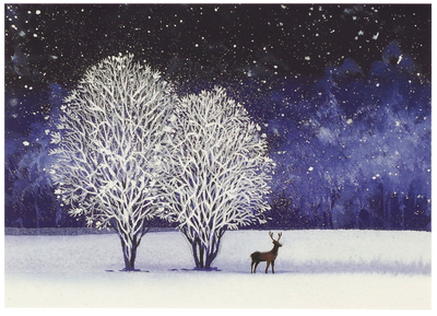 Starry Night