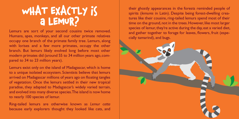 Hug a Lemur Kit
